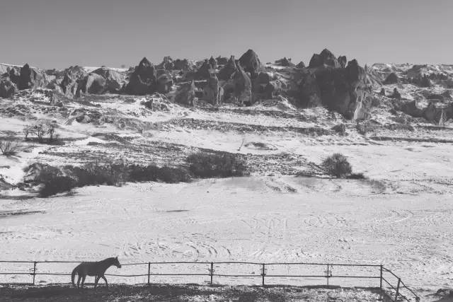 如何申请法国交换生,欧洲交换生