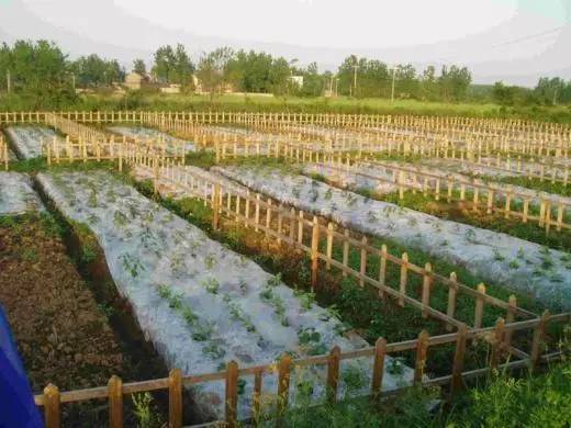 近来，有一批舟山人爱上花钱购买“独一份”！你知道“独一份”是什么吗？