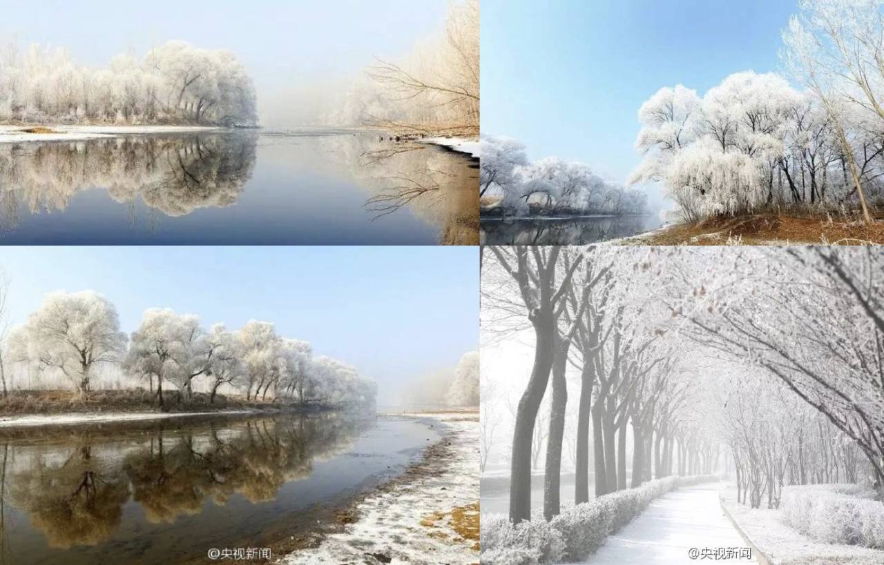 早啊新闻来了手机版怎么下载,早啊新闻来了音频