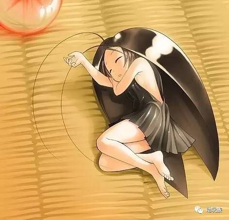 精灵宝可梦图鉴第61期——搜神记（26）席多蓝恩