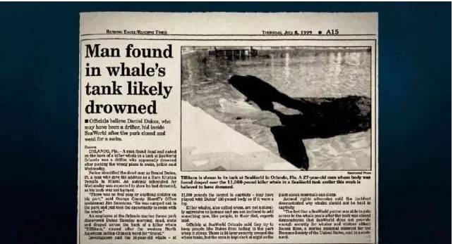 它的死，是给人类一记响亮的耳光