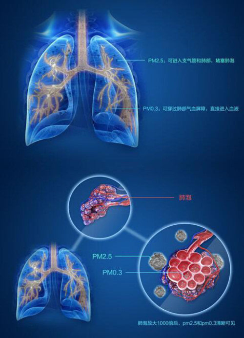 pm2.5是怎样入侵人体的,pm2.5能进入呼吸道吗