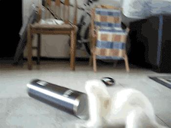 信息快报｜第281期（今日共18条）好想使劲抓着雾霾脖领子，问问他我的快递呢？