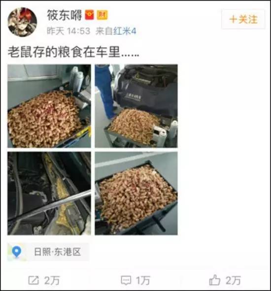 听说您的肉是充话费送的