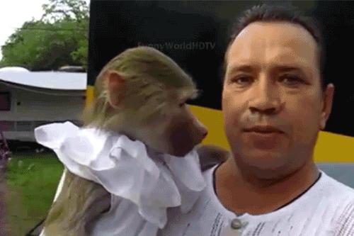 信息快报｜第281期（今日共18条）好想使劲抓着雾霾脖领子，问问他我的快递呢？