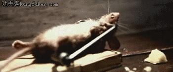 听说您的肉是充话费送的