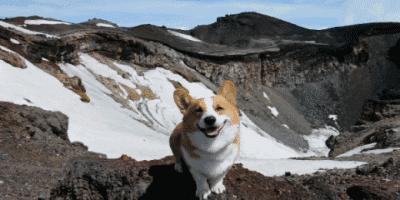 burberry包包和lv包对比,burberrylondon经典格子包