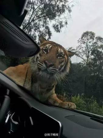 早报｜啥？日本邀请中韩联合申办世界杯？