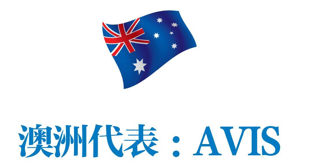 国外租车最实惠,出国租车需要什么