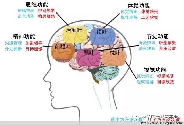 牙龈自发出血是什么病的前兆,自发出血是什么意思