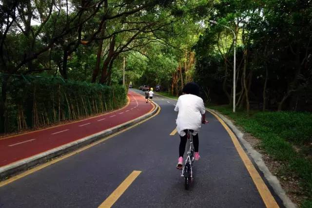 乐疯了完整视频,乐疯了小品完整版