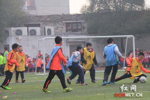芙蓉区东晖小学老师,东晖学校芙蓉区