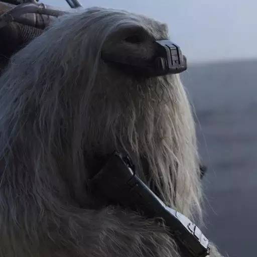 侠盗一号最后彩蛋,侠盗一号彩蛋视频