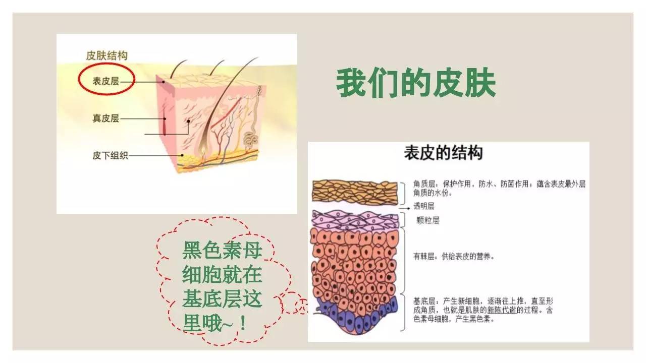 新人报到｜想比范冰冰还要白？美白过程你一定要关注这些