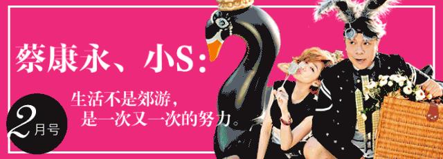 贝嫂哭穷完整版,贝嫂现状