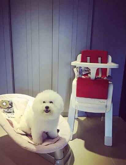 八一八贾静雯家的咘咘的吃喝拉撒用品