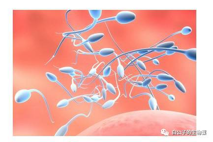 大白课｜人可以有第三种性别吗？不行的话可以创造出来吗？