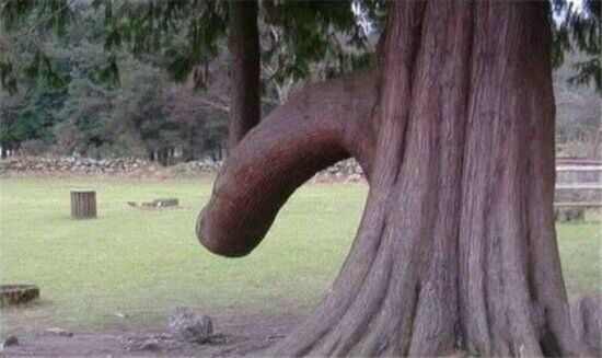 不可思议的十六大奇观,不可思议的六大奇观现象