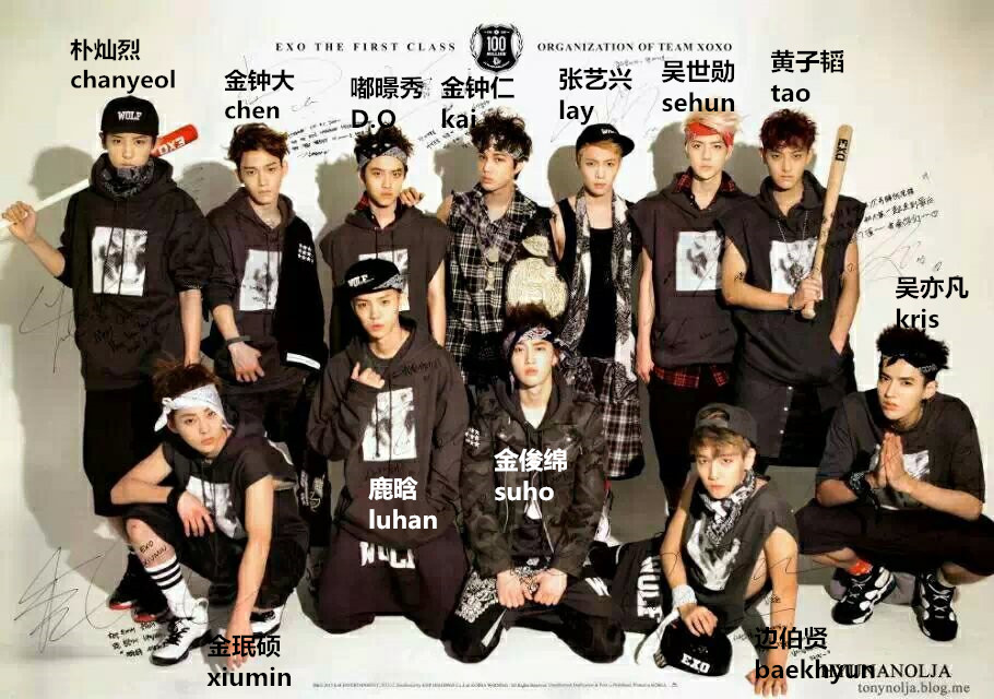 exo茶蛋日常分享,exo茶蛋完整版