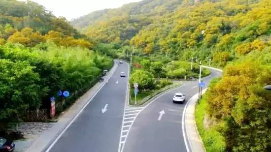 厦门可以爬的山有哪些地方,厦门这些景点你都去过吗