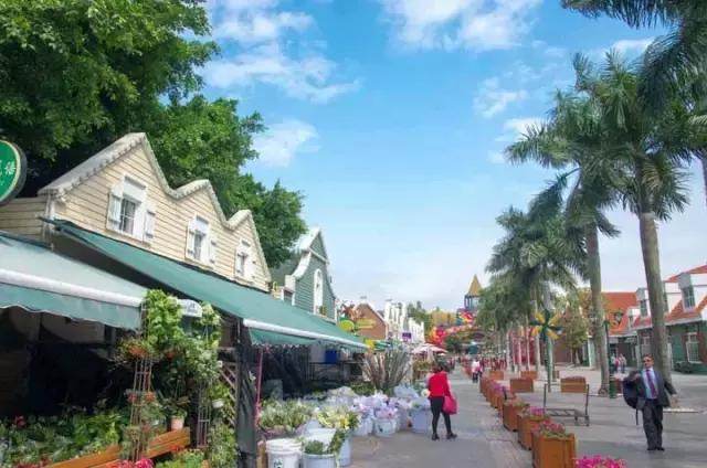 2022迎春花市深圳,深圳2024迎春花市怎么去