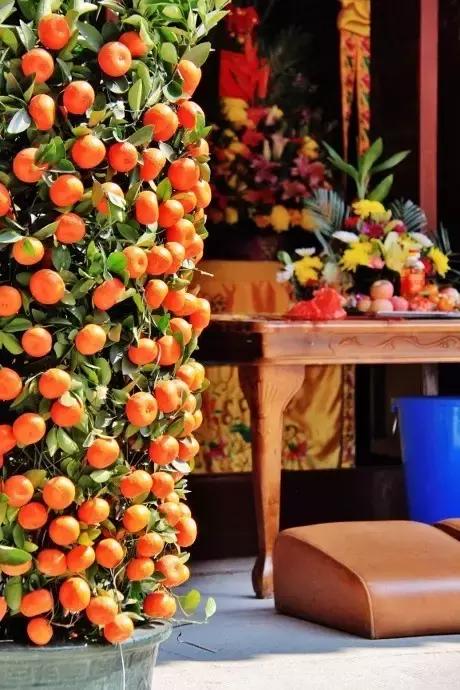 2022迎春花市深圳,深圳2024迎春花市怎么去