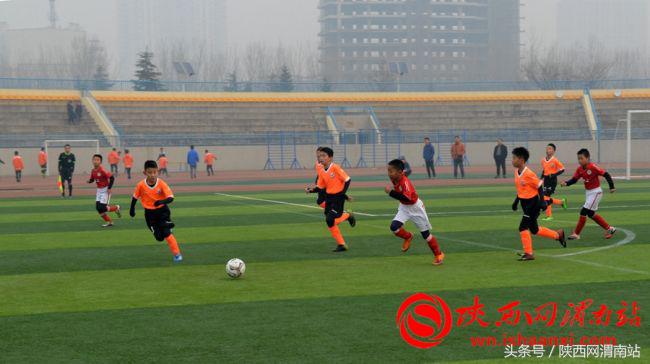 渭南国际青年足球锦标赛,2022陕西省青少年足球锦标赛