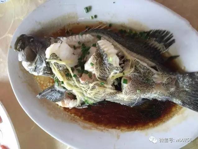 珠海白藤头海鲜市场春节营业时间,珠海白藤头海鲜市场攻略