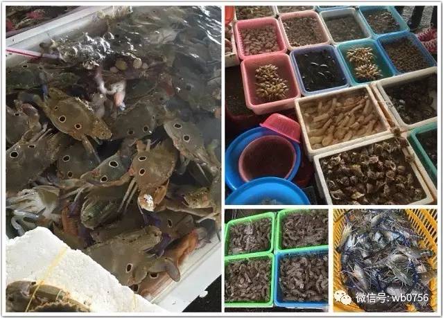 珠海白藤头海鲜市场春节营业时间,珠海白藤头海鲜市场攻略