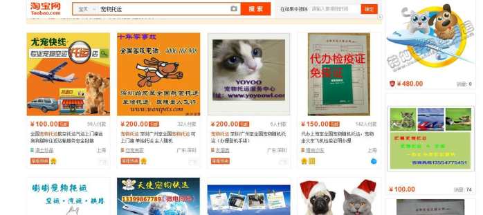 宠物托运流程宠物出行必备知识,带狗子回家过年宠物托运