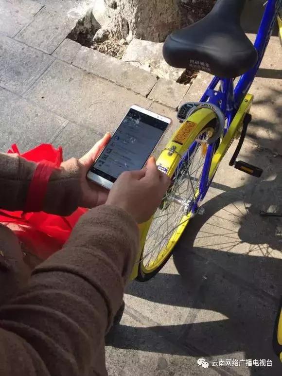 关于共享交通工具的问题,现在共享交通工具有几种