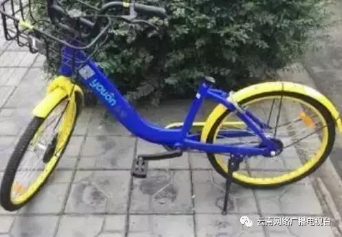 关于共享交通工具的问题,现在共享交通工具有几种