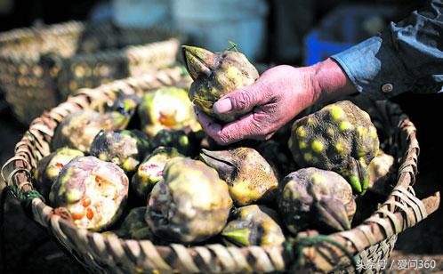 除湿气食物薏米与什么结合最佳,薏米祛湿气最快方法
