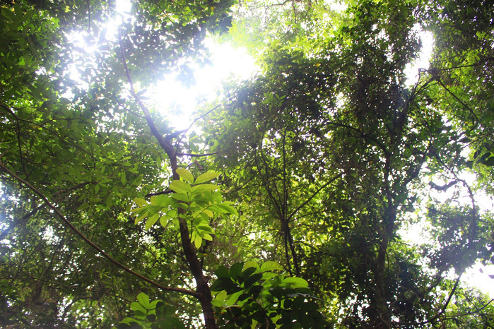 斯里兰卡旅游7天多少钱,去斯里兰卡最便宜方法