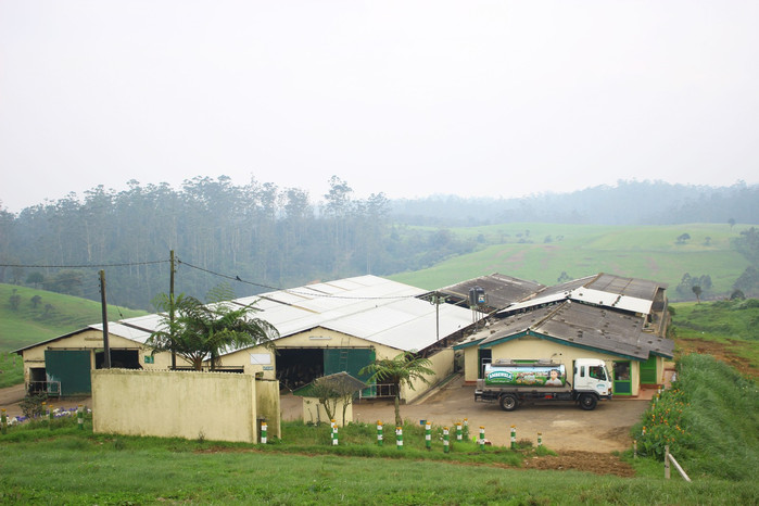 斯里兰卡旅游7天多少钱,去斯里兰卡最便宜方法