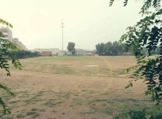 别了绿茵球场,回归足球场