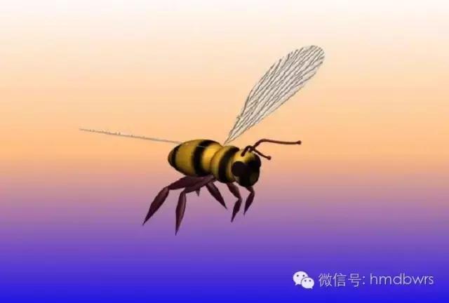 愿六零后的我们都优雅的老去,愿我们都能幸福到老