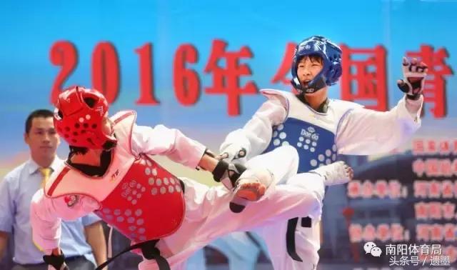 南阳十大热议新闻,南阳体育新闻