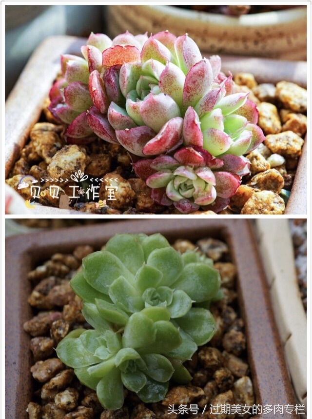 最爱对比图！对比后更惊艳！