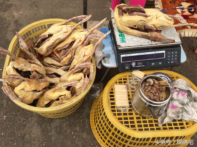 在北方不容易买到的时令蔬菜,这些特色蔬菜你见过吗