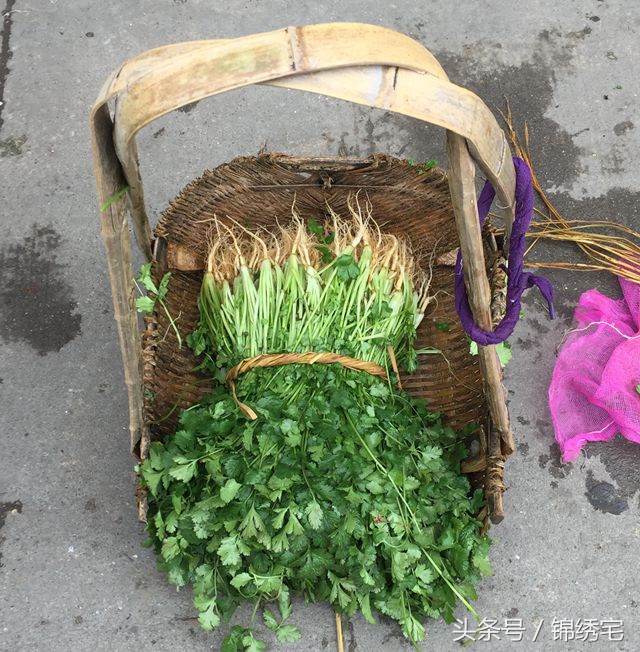 在北方不容易买到的时令蔬菜,这些特色蔬菜你见过吗