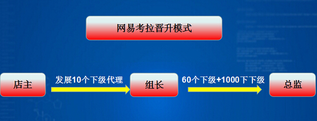 网易考拉现在面临的问题,网易考拉代理有用吗