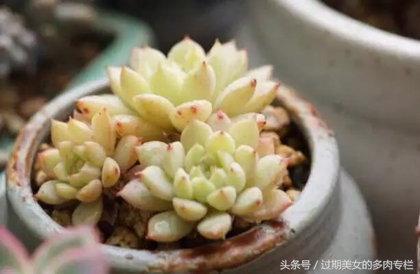 入坑一年小说,入坑一年