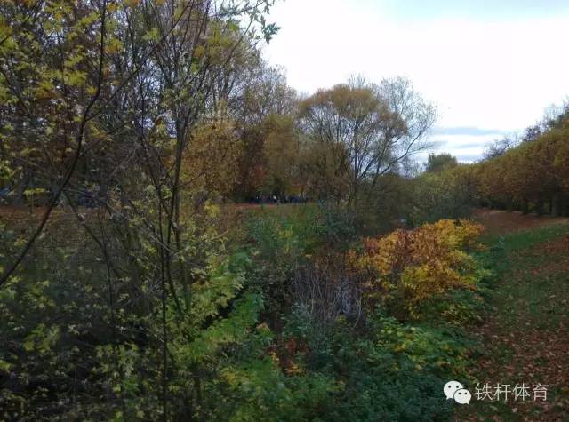 科隆vs勒沃库森是什么德比,勒沃库森多特蒙德是什么德比