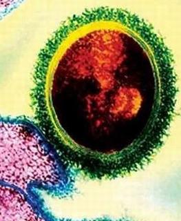 女性熬夜引发的病症,女性熬夜造成疾病