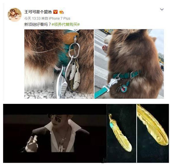 这炫富方式绝了！唐嫣LV包、权志龙天价项链都被王思聪的狗怼了