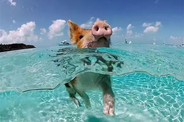 28个国家的免签和落地签,落地签与免签和电子签区别