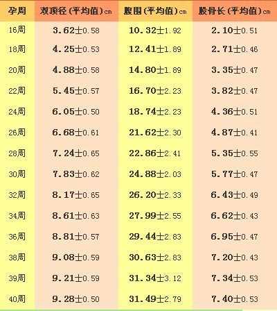 医生绝对不会告诉你的秘密,医生不会告诉你的秘密实体书