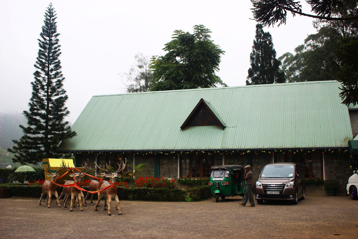 斯里兰卡旅游7天多少钱,去斯里兰卡最便宜方法