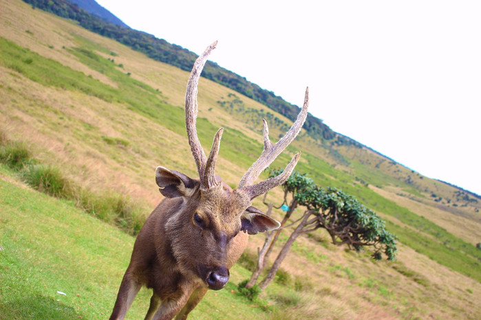 斯里兰卡旅游7天多少钱,去斯里兰卡最便宜方法